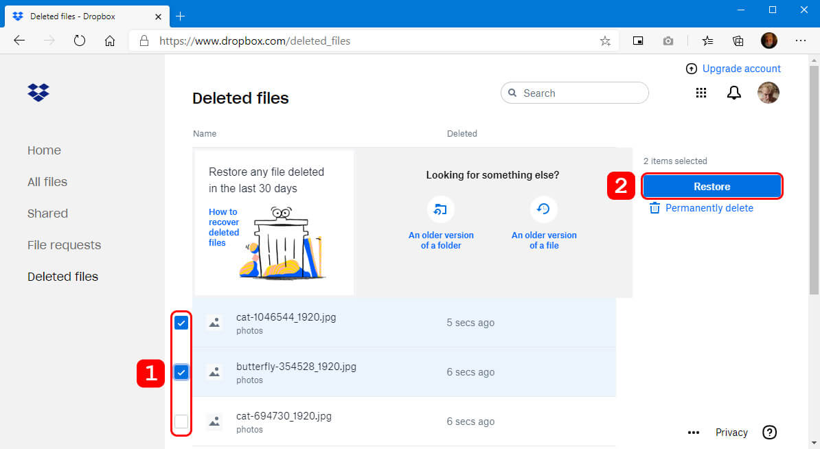 restore deleted files in dropbox