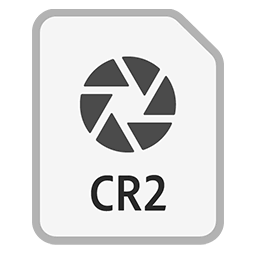 CR2 File Recovery: How to Recover Deleted .cr2 Photos (2025)