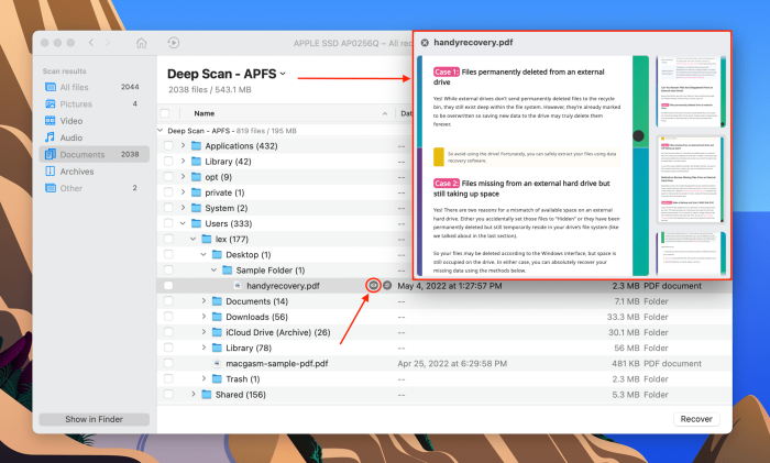 How to Recover Unsaved/Deleted/Lost PDF Files on Mac (2024)