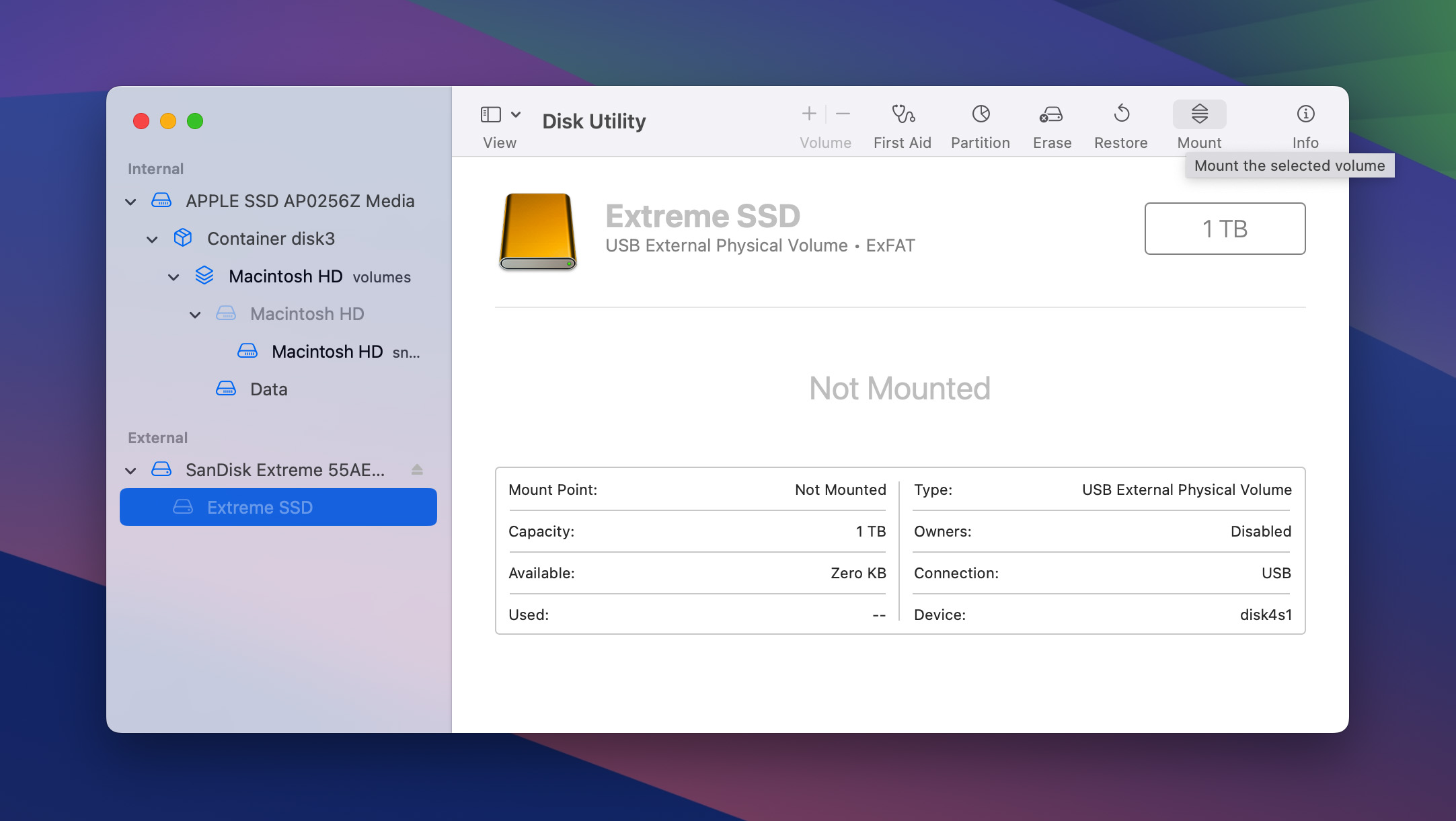 mount option in disk utility
