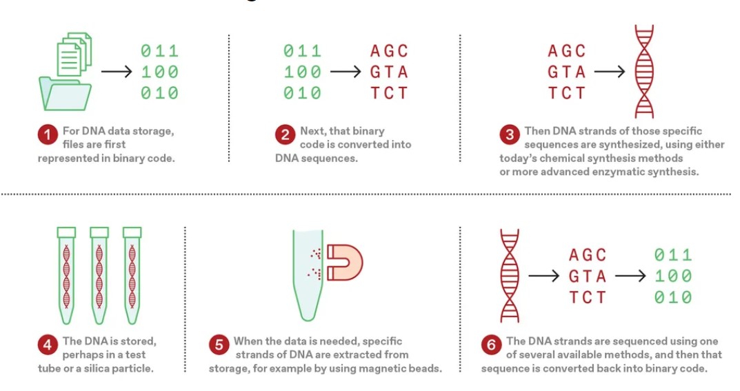 dna storage