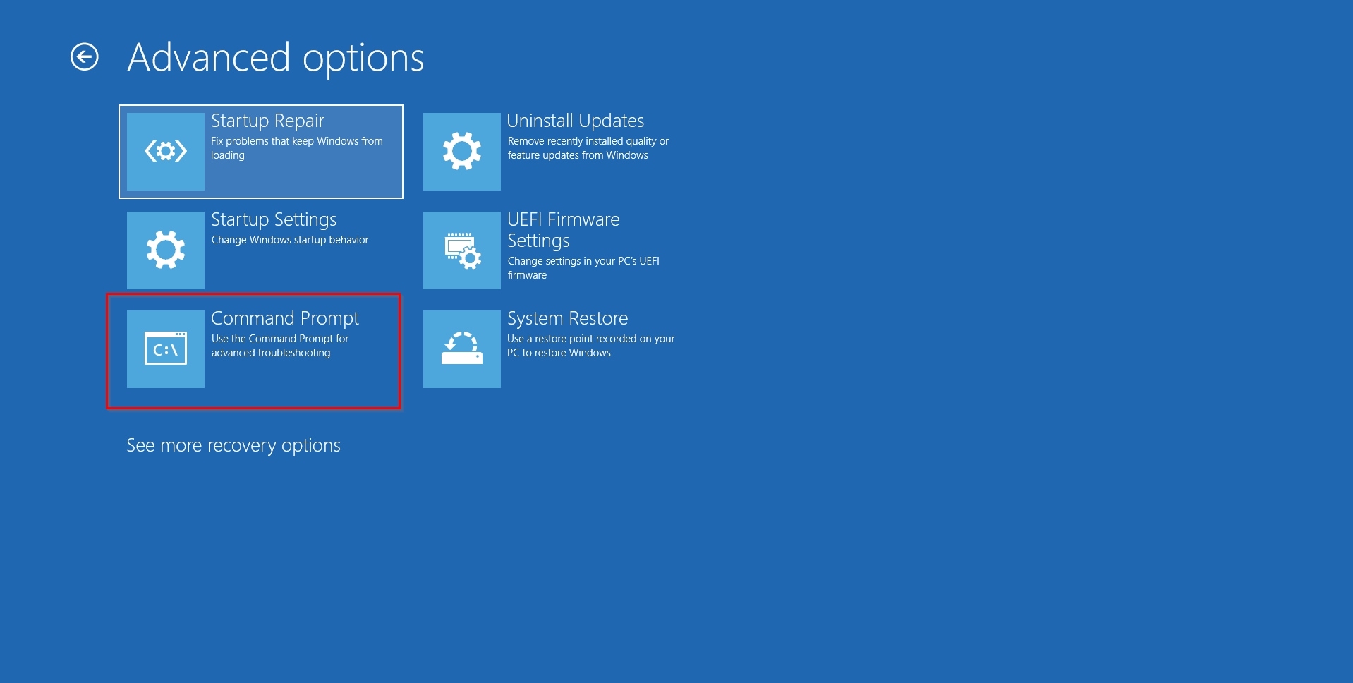 Windows RE Command Prompt