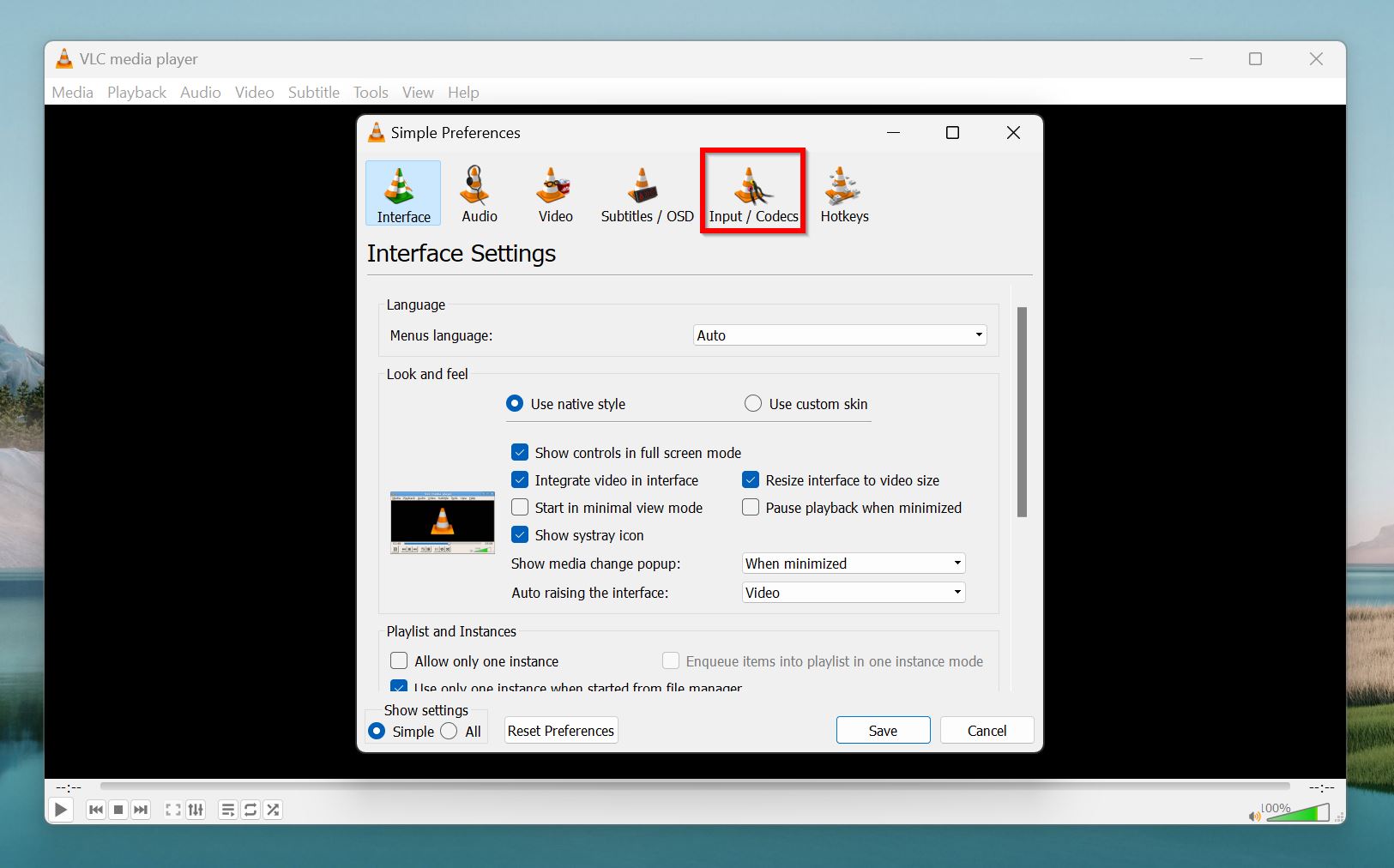 Input and codecs settings in VLC Media Player.