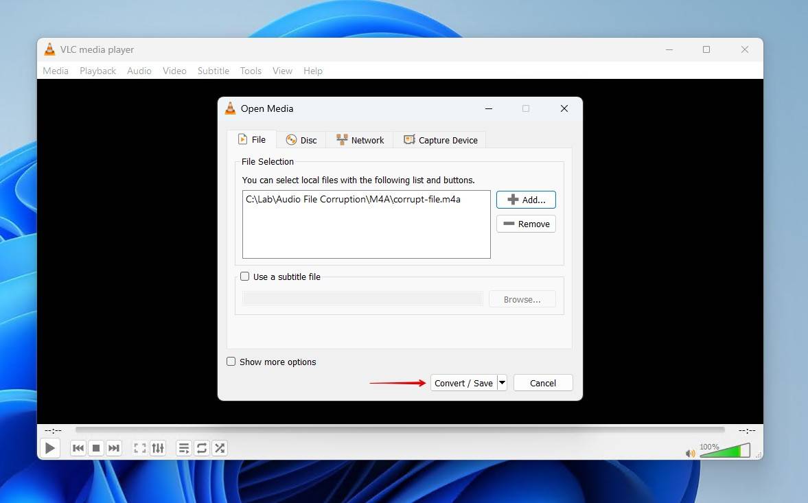 Converting the file.
