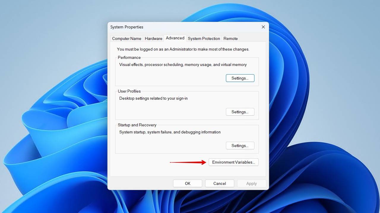 Environment variables.