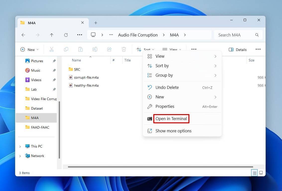 Opening the folder in Terminal.
