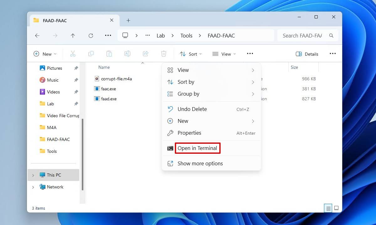 Opening the location in Terminal.