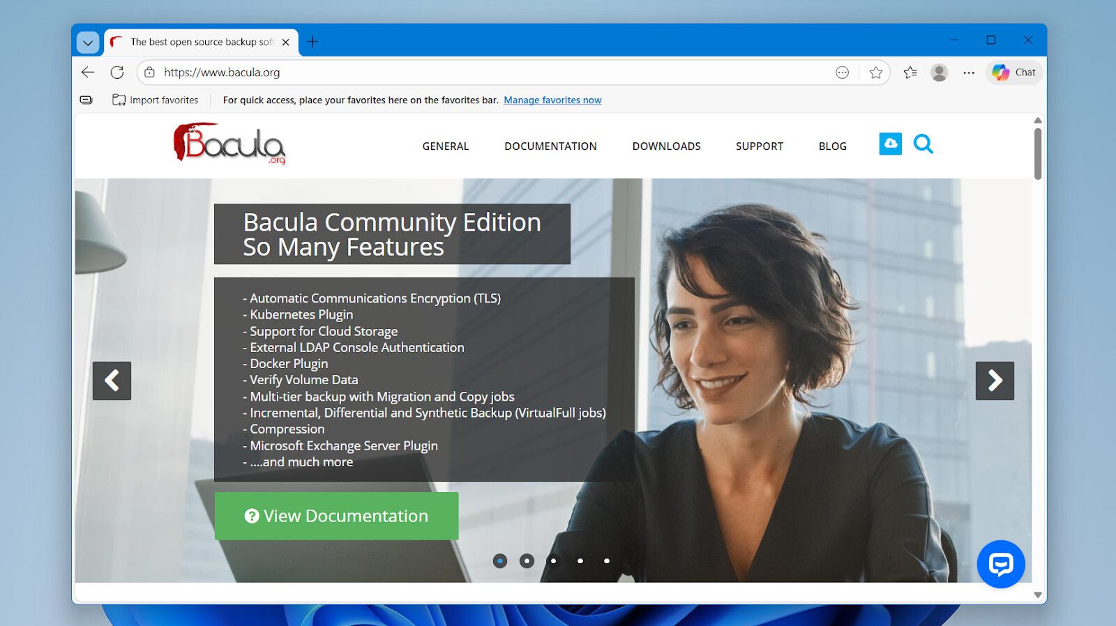 Bacula backup software interface